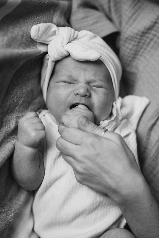 Photo #13353954