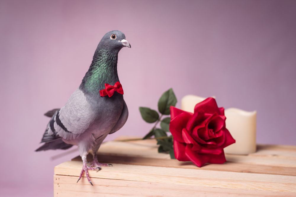 Photograph by Tamara Lebón Sánchez