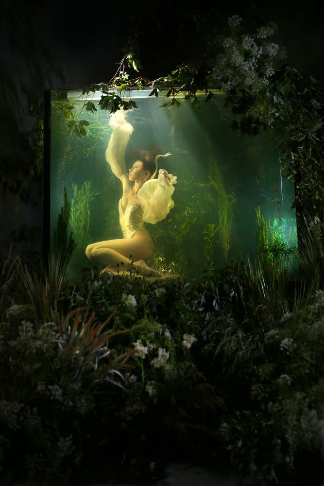 Photograph by Ольга Виноградова