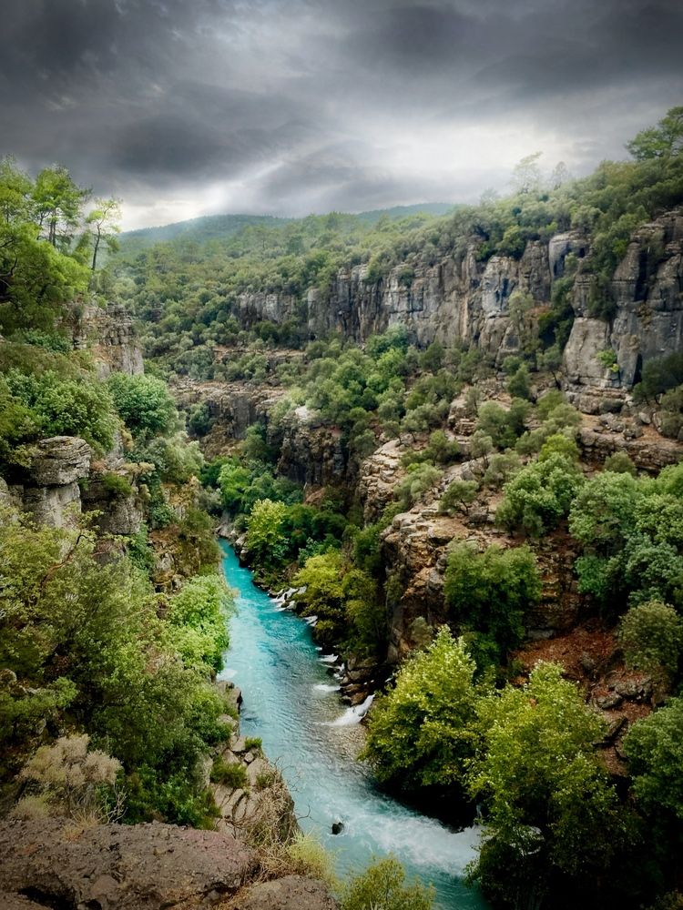 Фотография автора Полина Карпухина