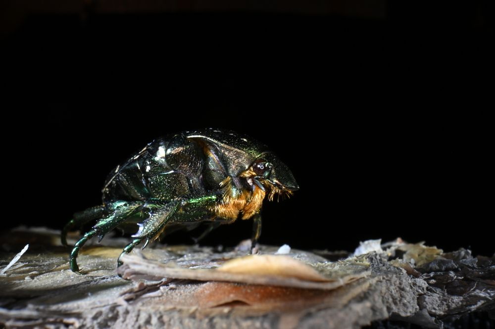 Photograph by Леонид Астапчик