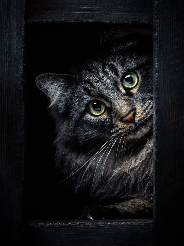 Photograph by Evgeniy Savikov