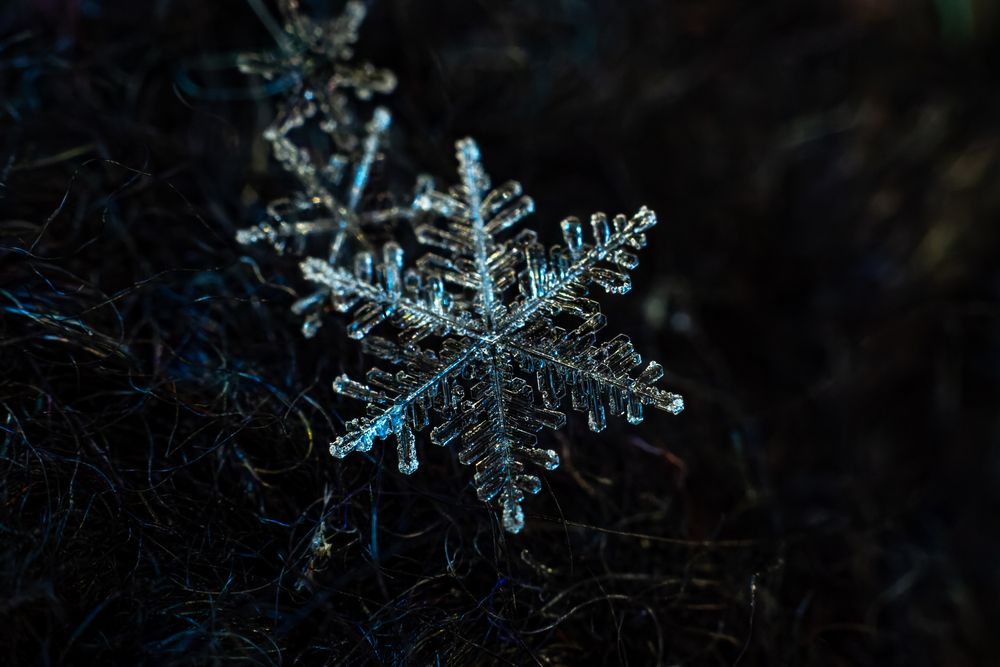 Photograph by Никита Иванов