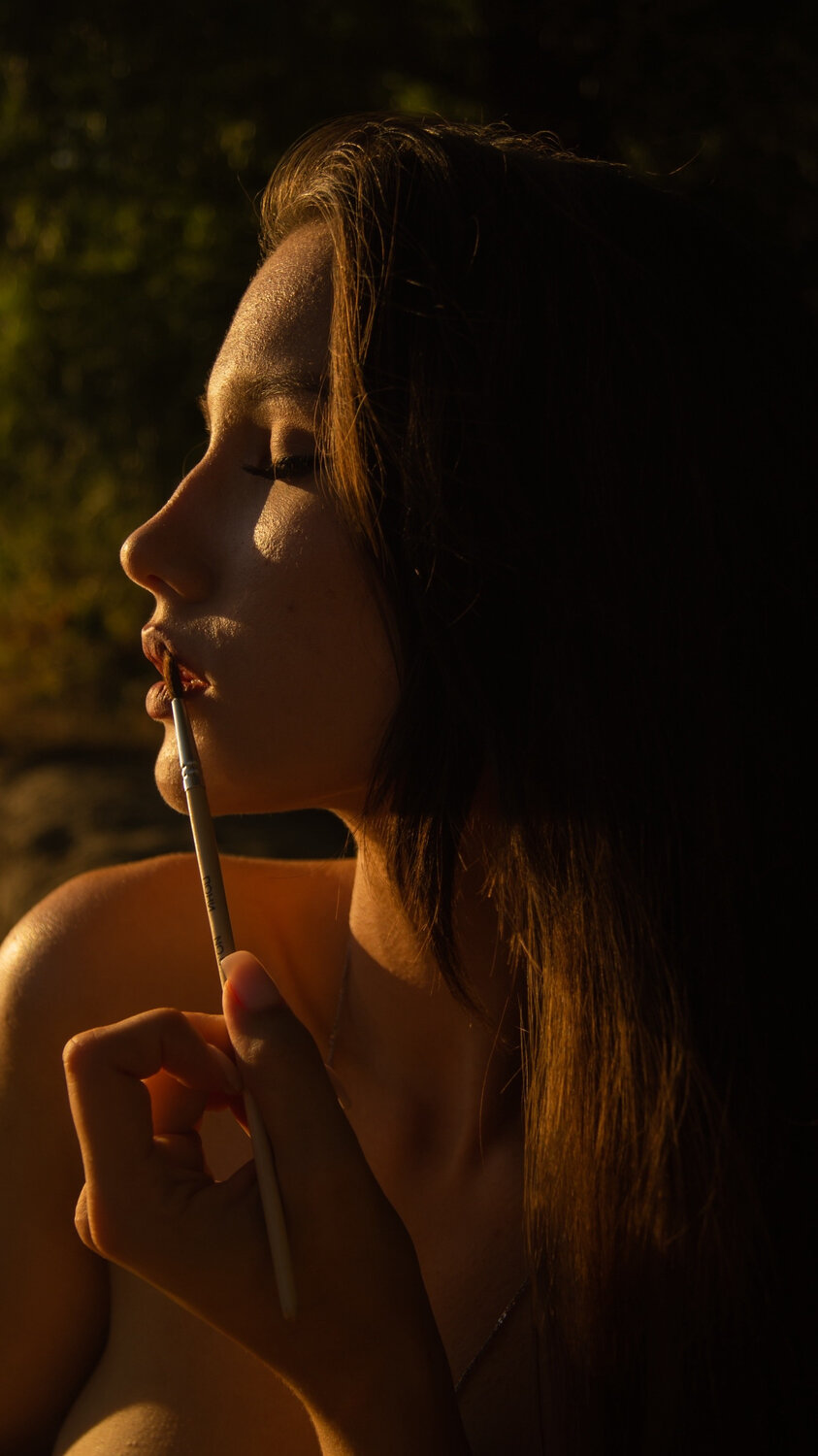 Photo #13354356