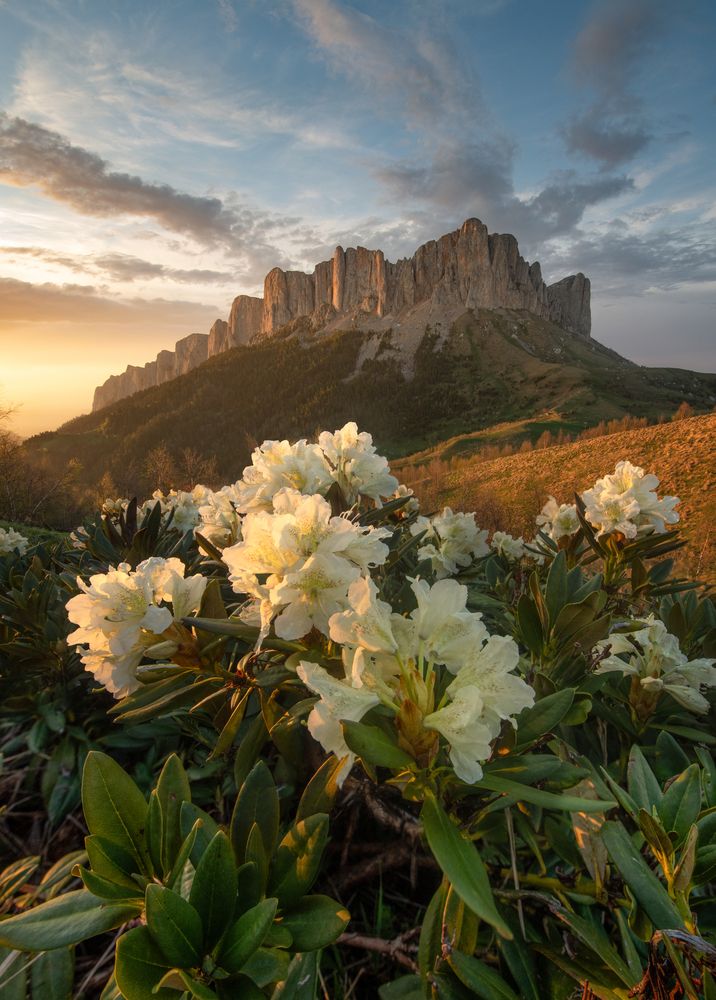 Photograph by Елена Ермолина
