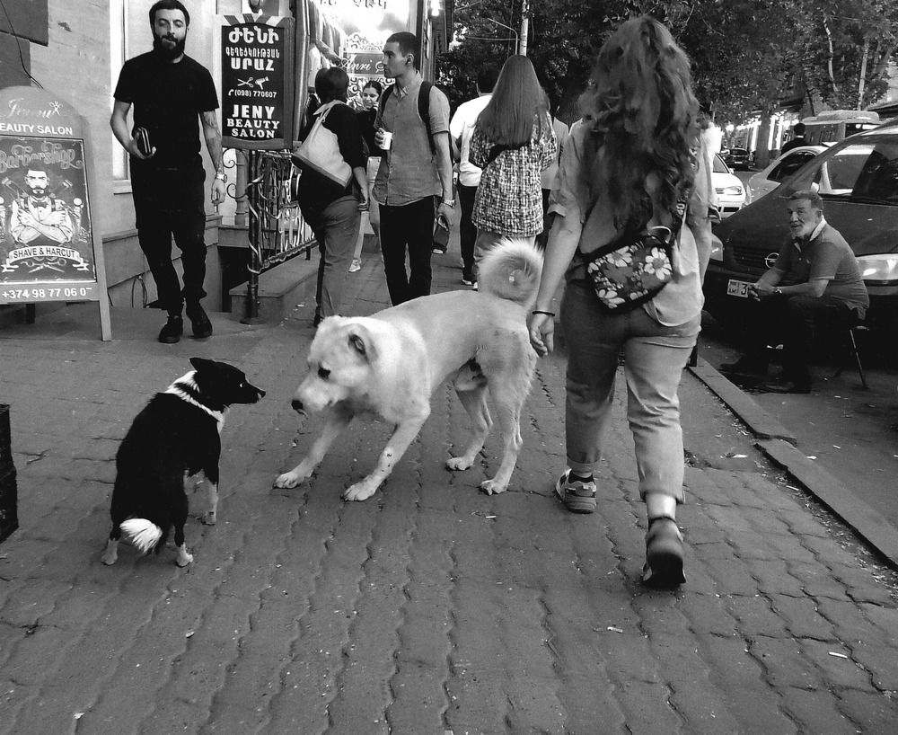 Photograph by Марина Рафаелян