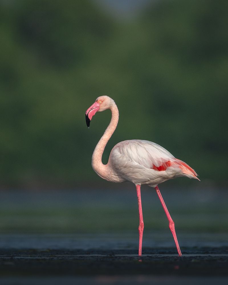 Photograph by Visveswar VK