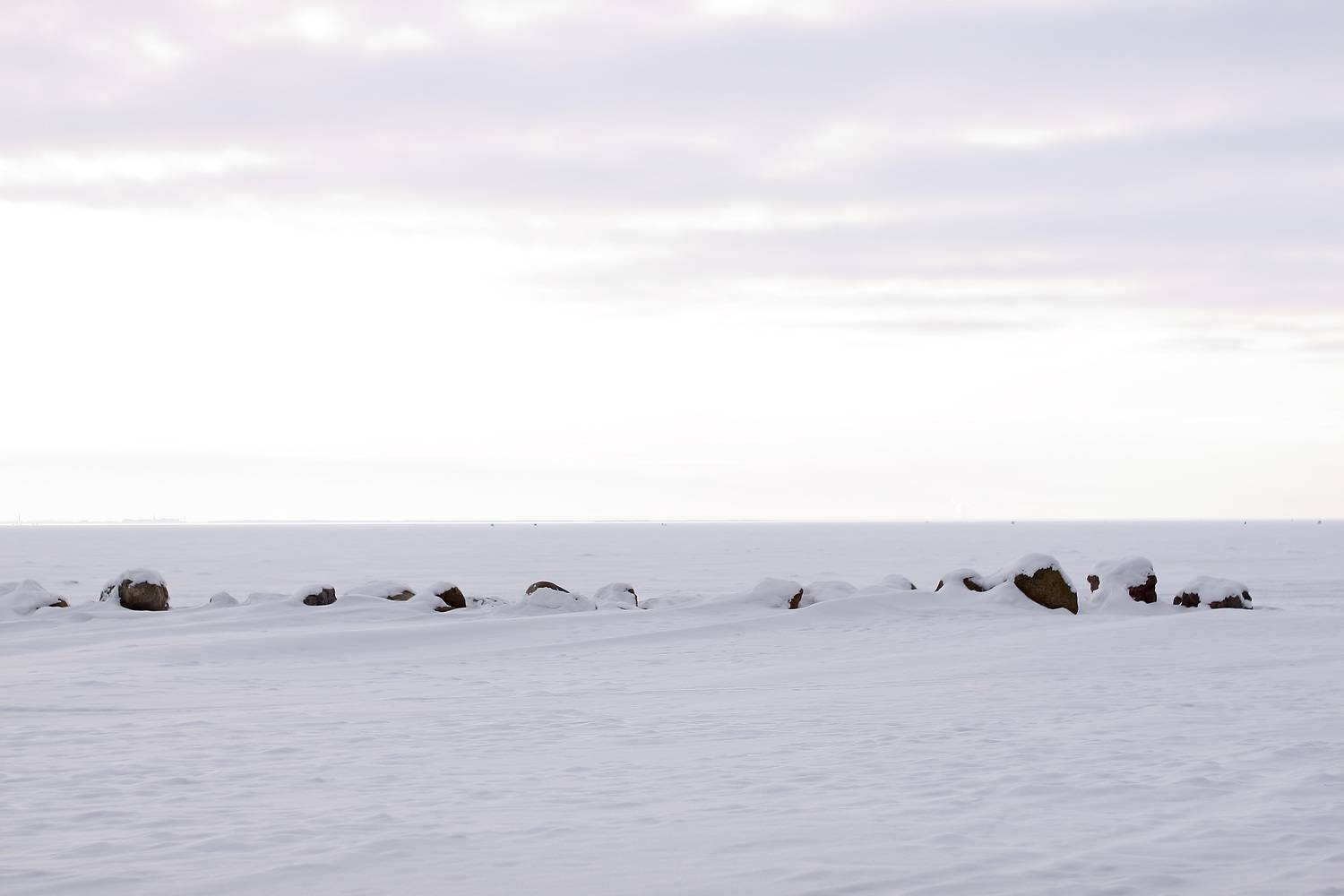 Photo #13354612
