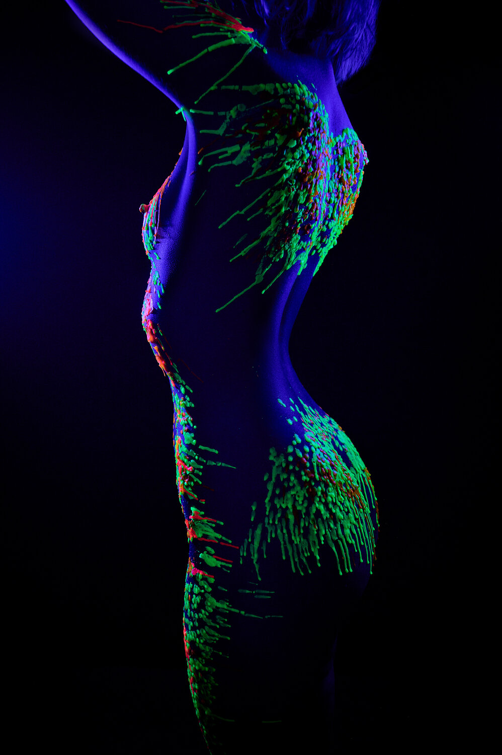 Photo #13354623