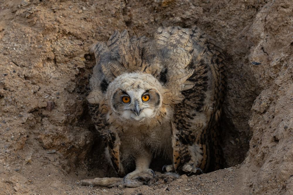 Photograph by Edward Mongin