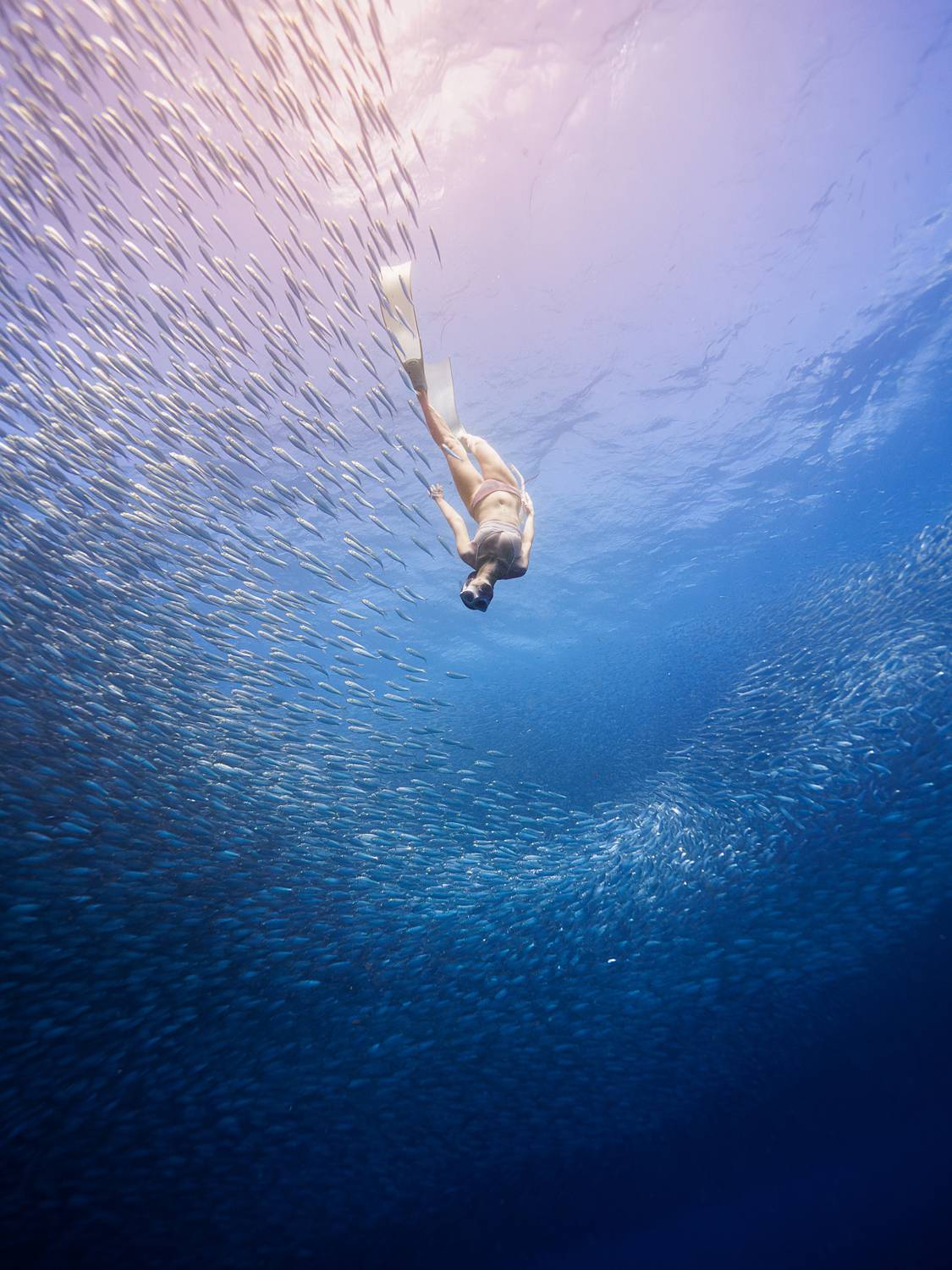 Фотография #13354651