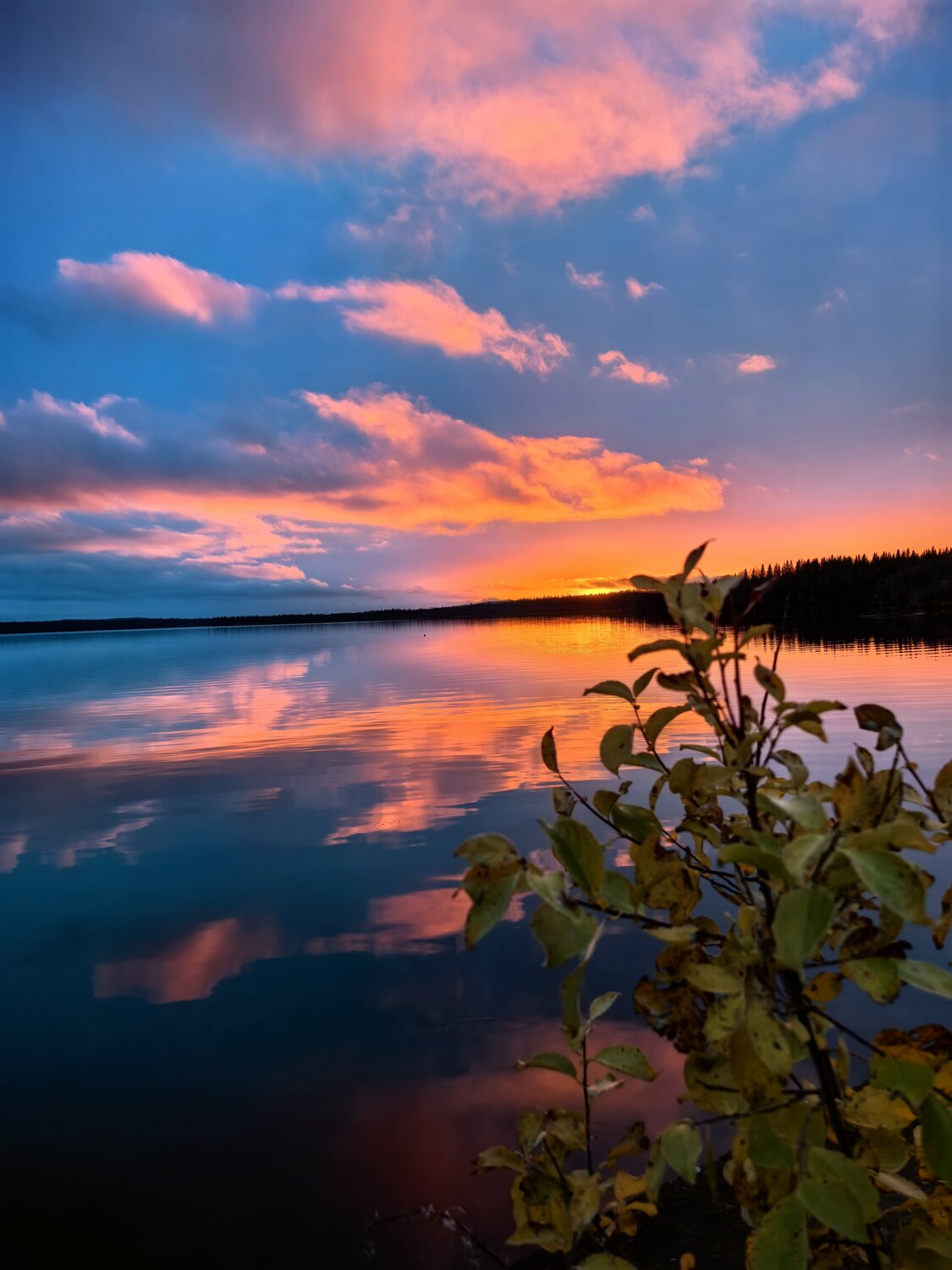 Photo #13354656