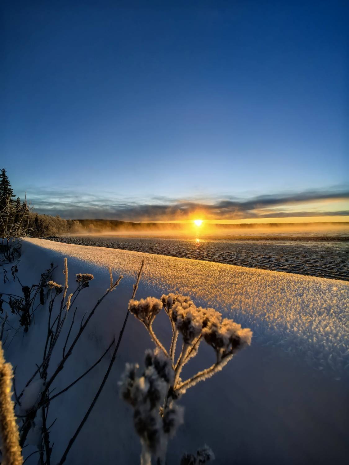 Photo #13354657