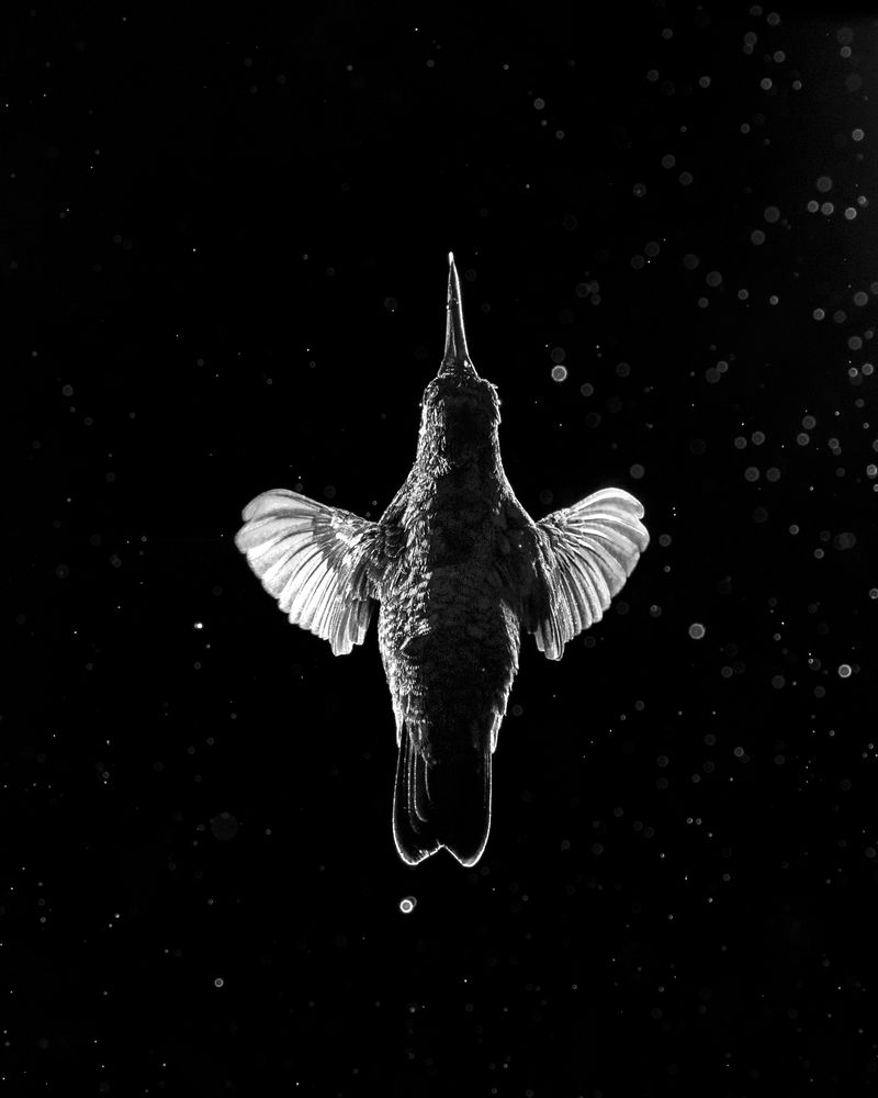 Photograph by Valdir Hobus