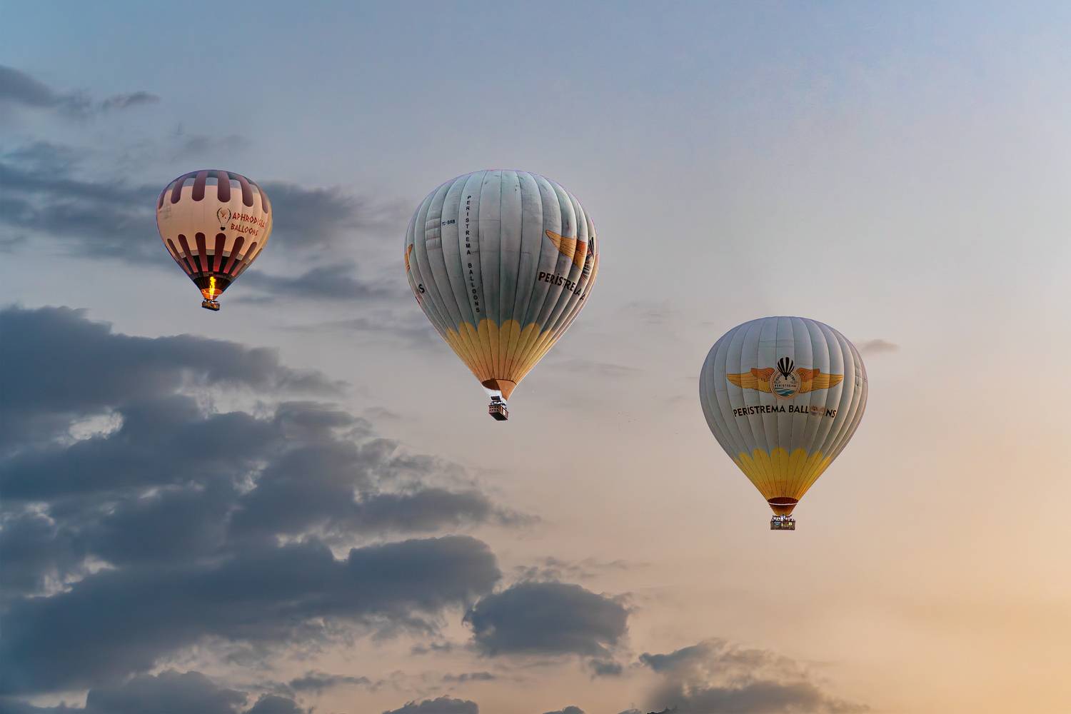 Фотография #13354720