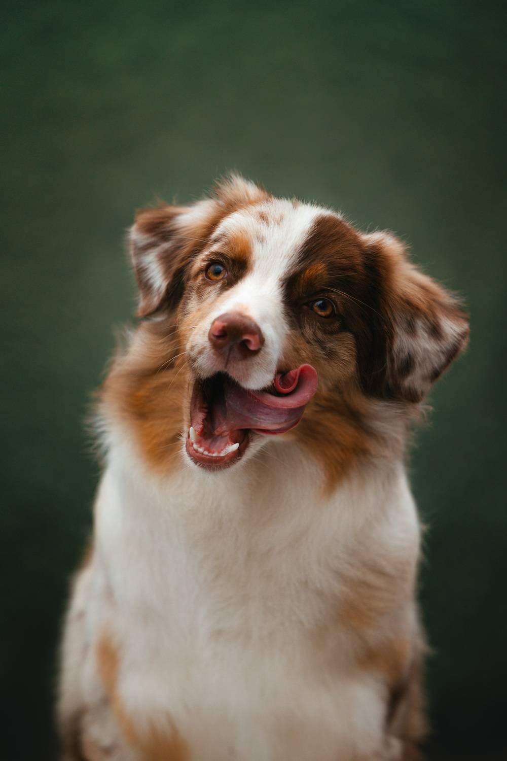 Фотография #13354737