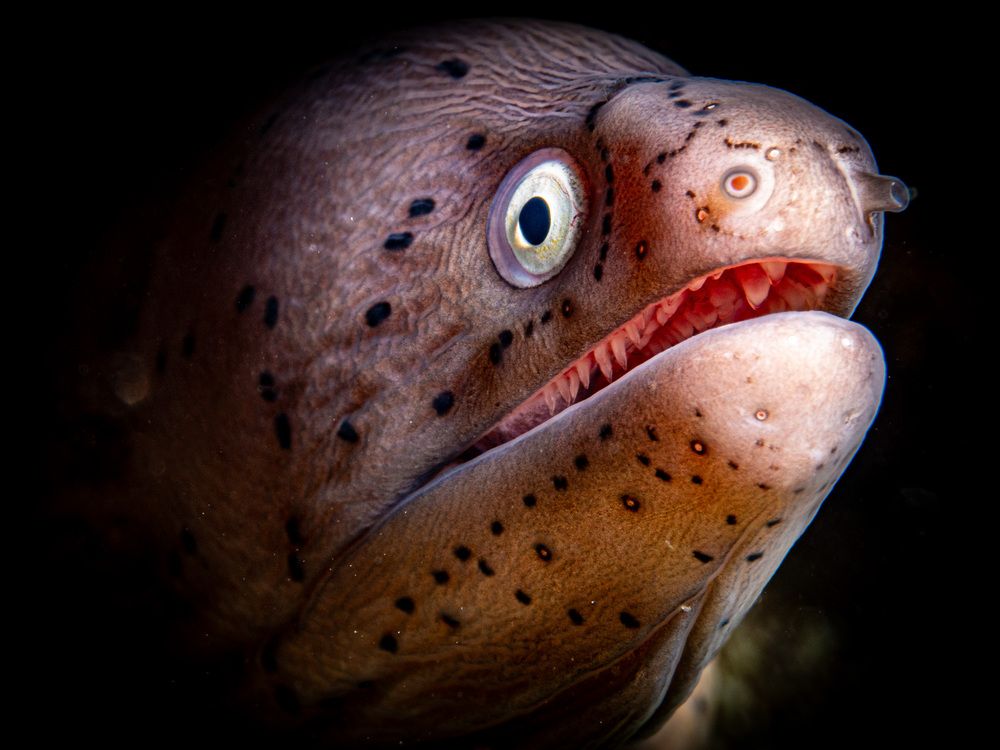 Photograph by Plakida Alexander