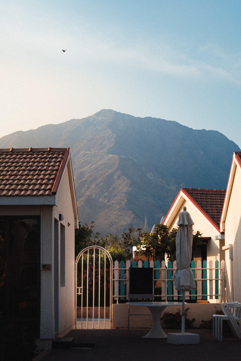 Photo #13354856