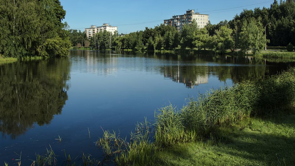 Photograph by Алексей Парамонов