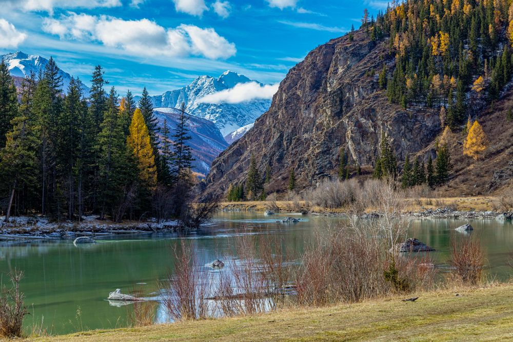 Фотография автора Владимир Каверин