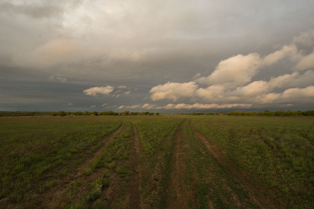 Photograph by Валерия Паринова