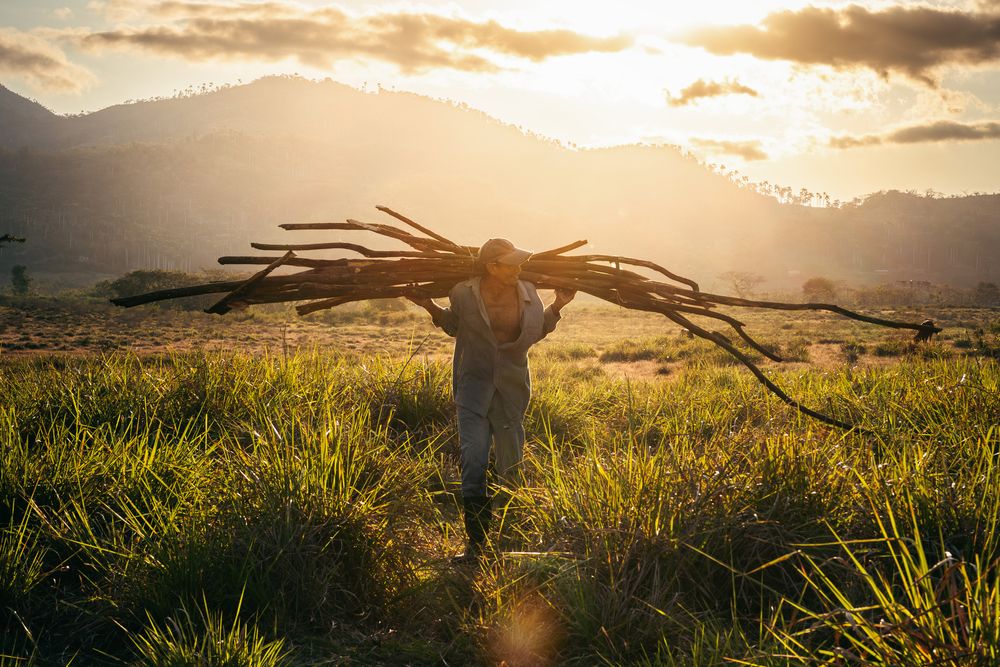 Photograph by Javier Calvo