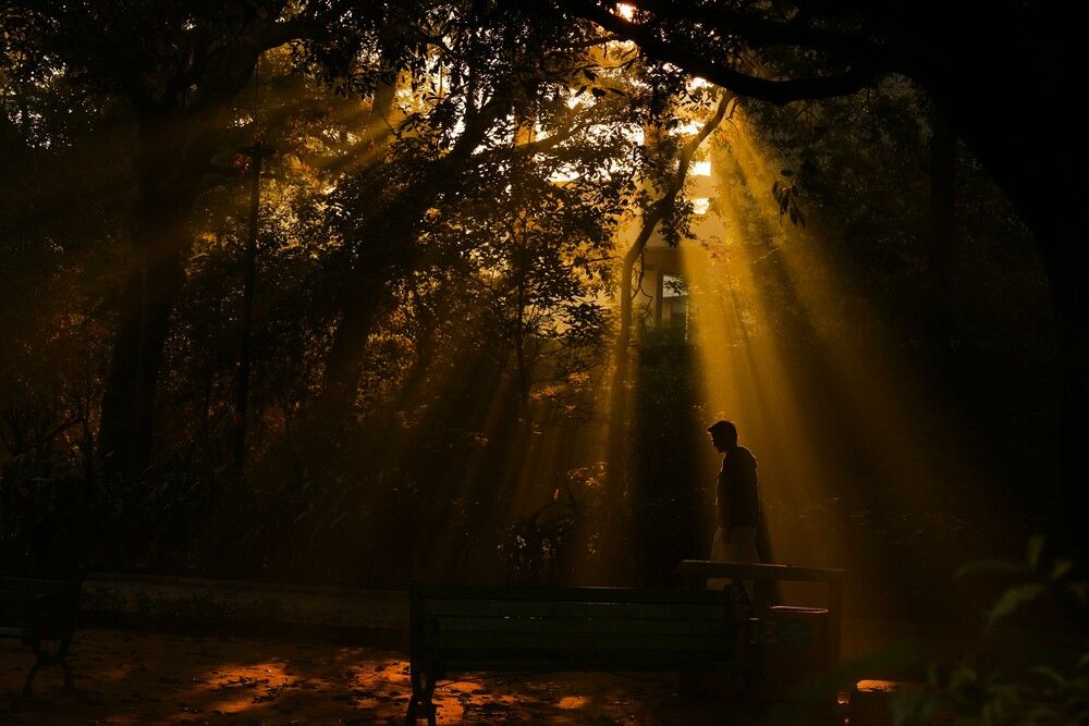 Photograph by G GOVIL