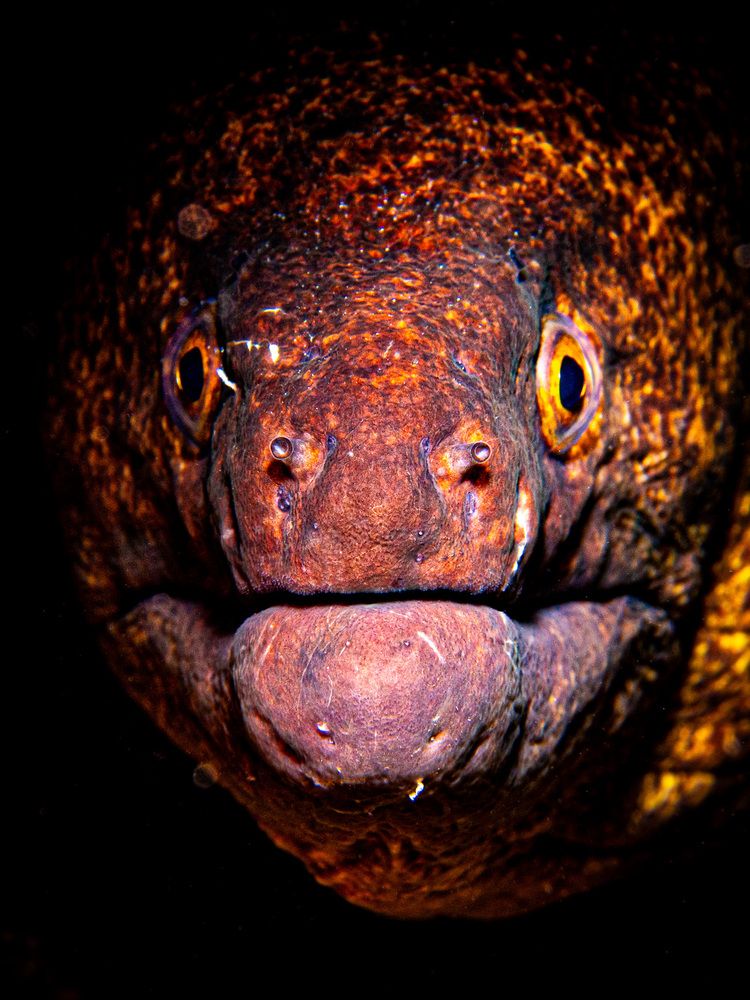 Photograph by Plakida Alexander