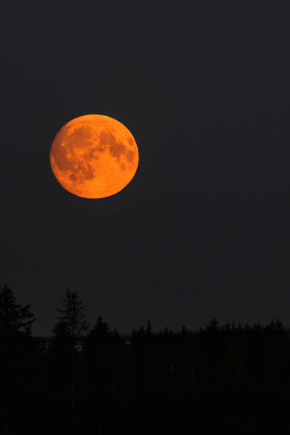 Кровавая луна