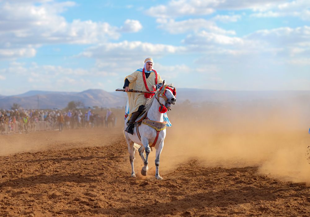 Fantasia in Algeria ( mascara )