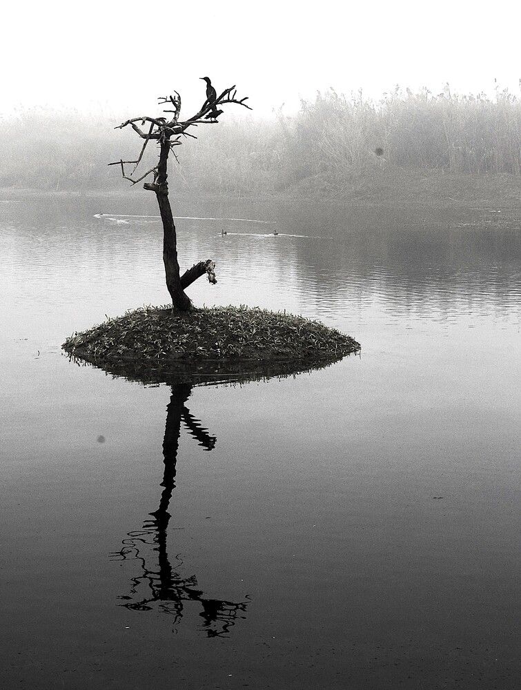 Photograph by G GOVIL