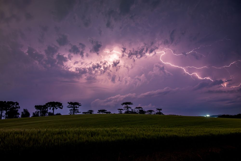Photograph by Mateus Campos Felipe