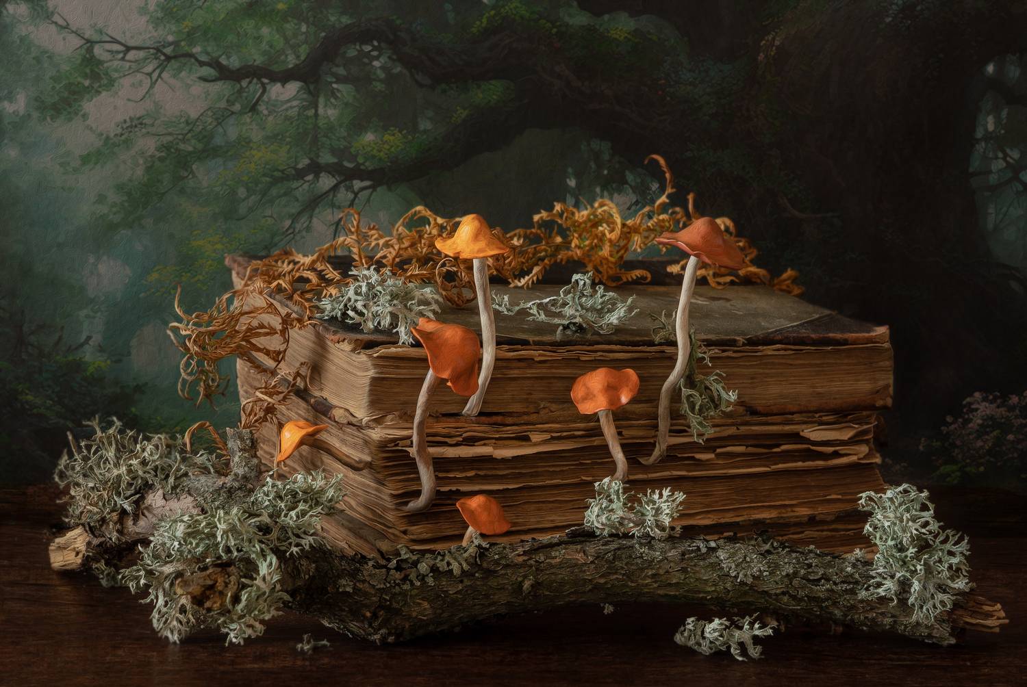 Забытая книга в лесу.