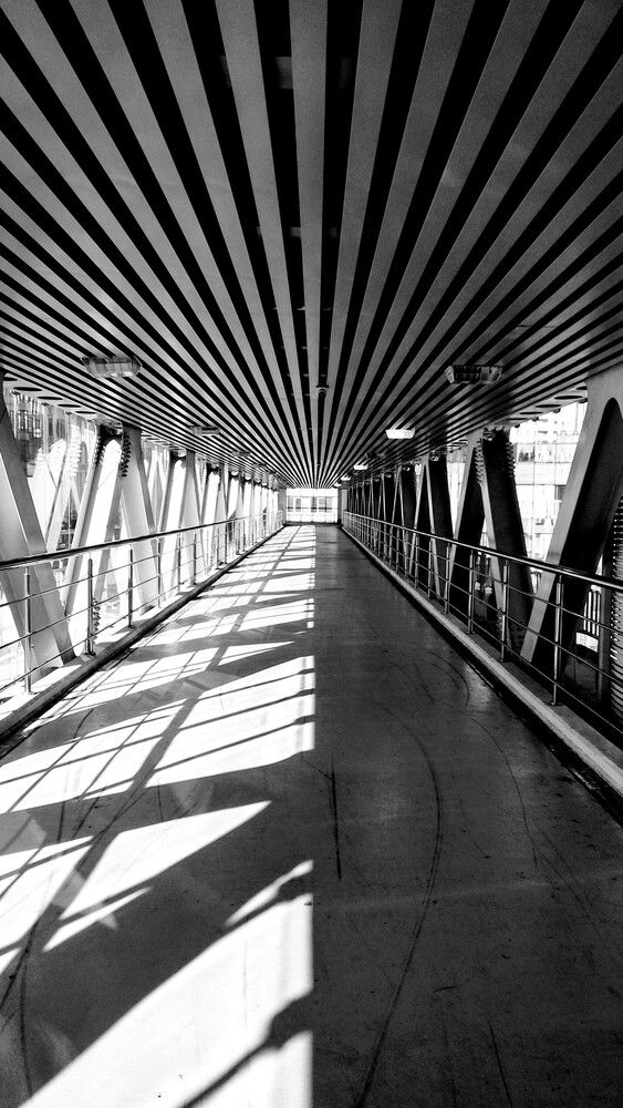 Photograph by Михаил Обертаев