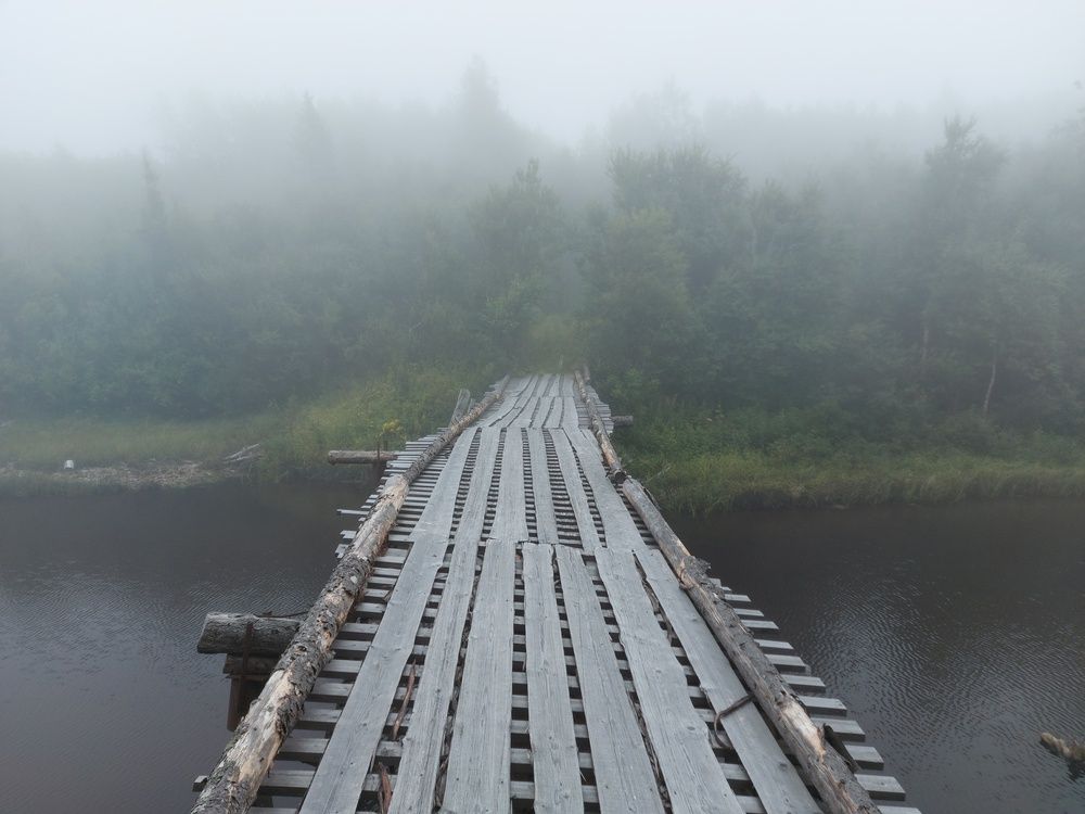 Photograph by Анастасия Красикова