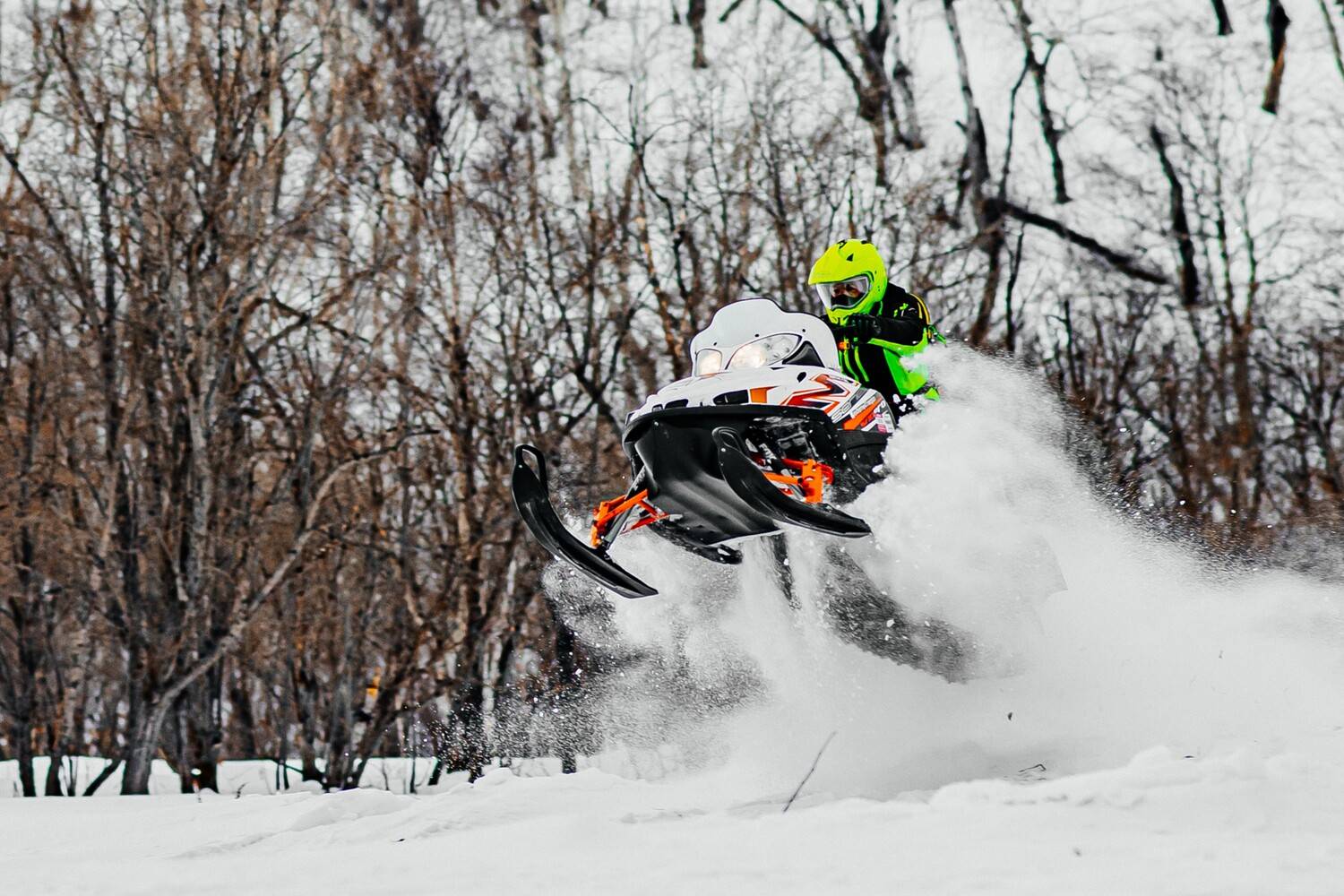 Photo #13355251