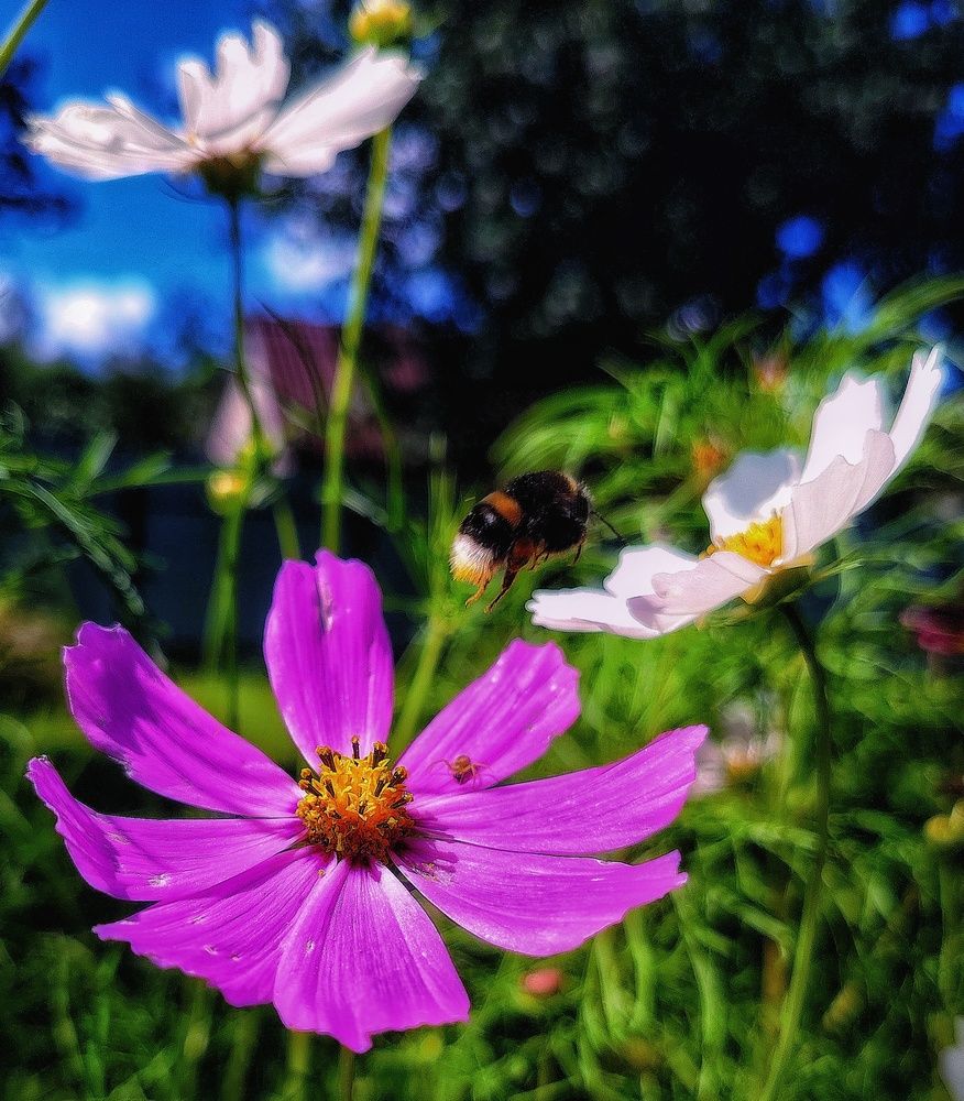 Photograph by Юлия Реутова