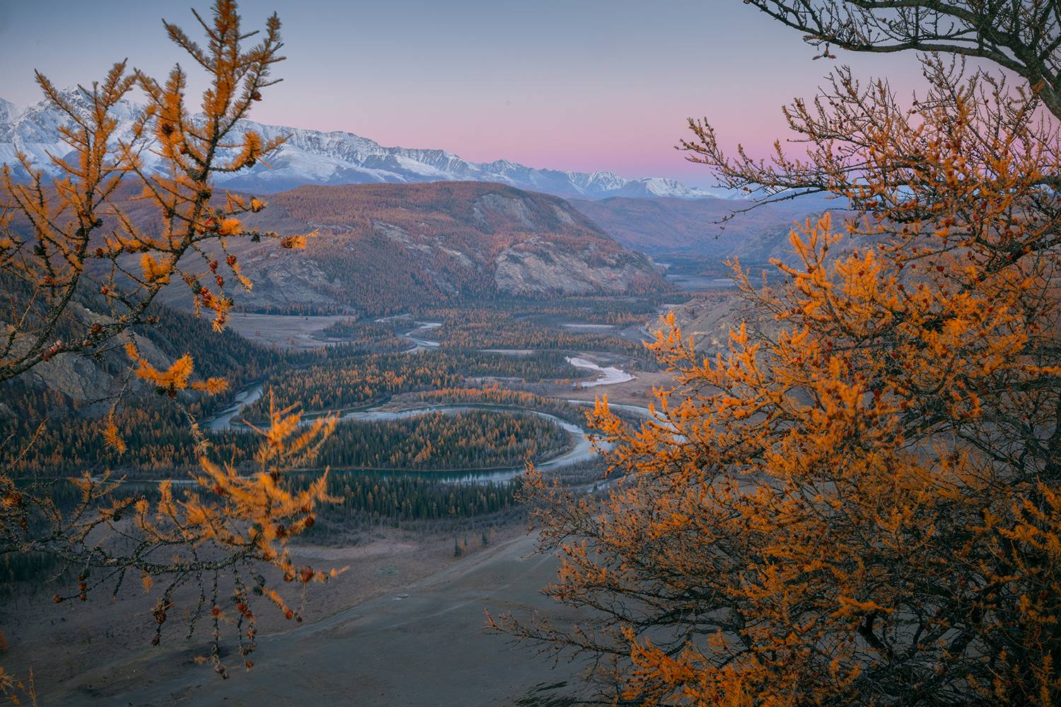 Фотография #13355289