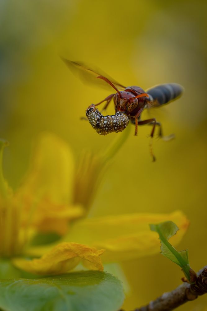 Photograph by DUNG NGUYEN TRUNG
