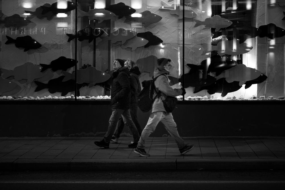 Photograph by Владимир Барсуков