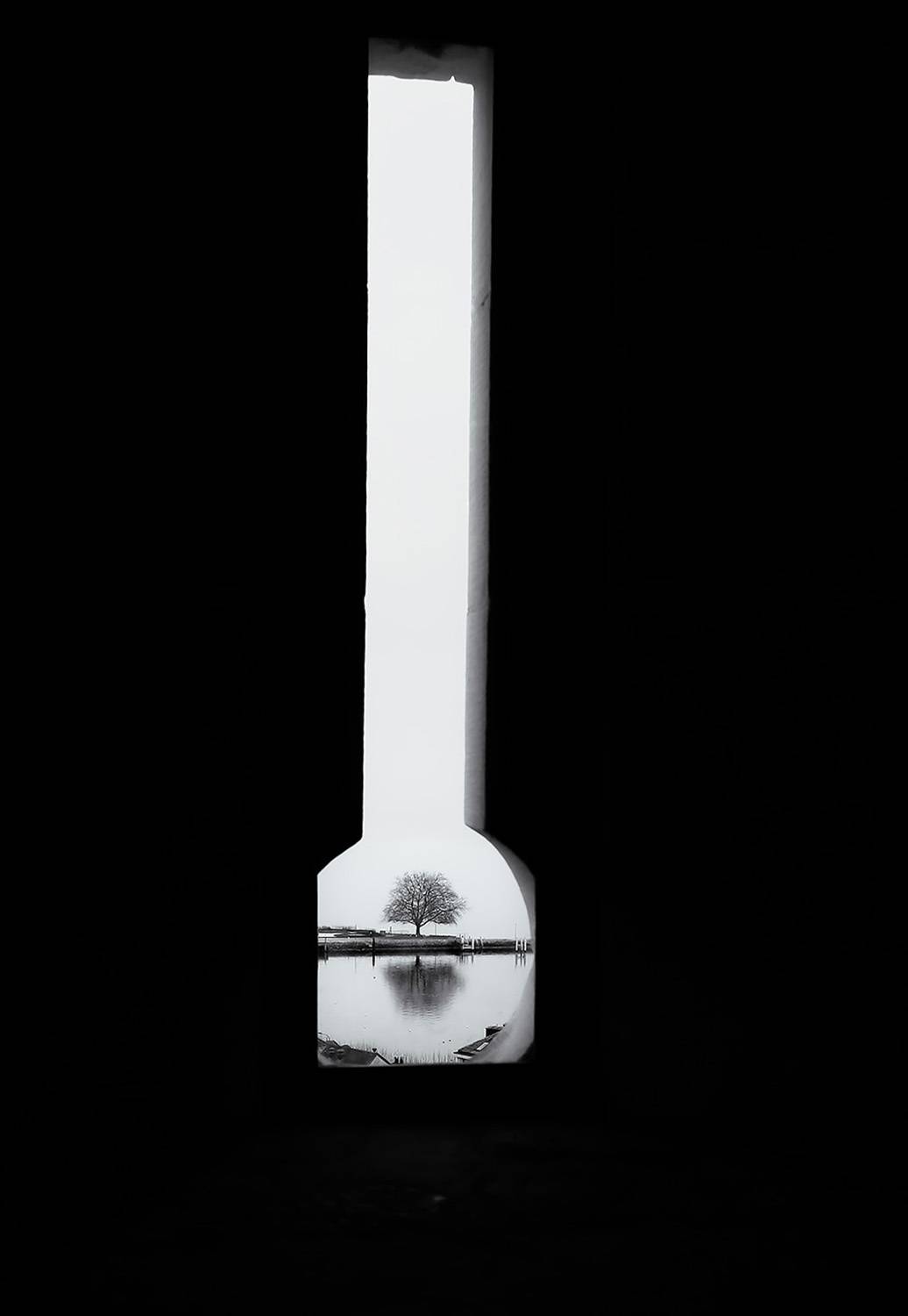 Фотография #13355346