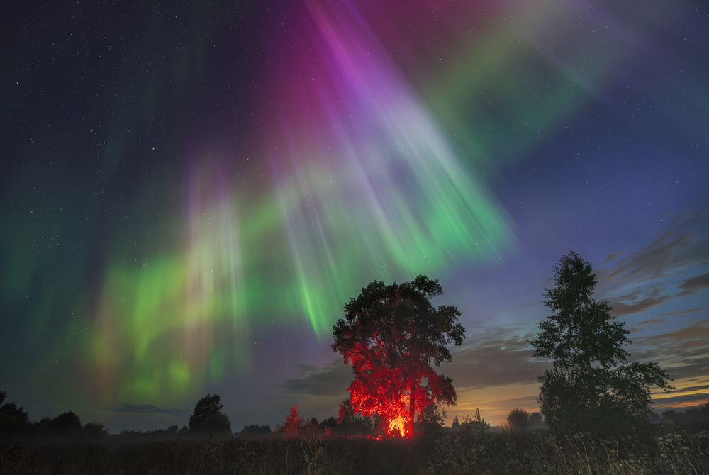 Фотография автора Смольский Евгений
