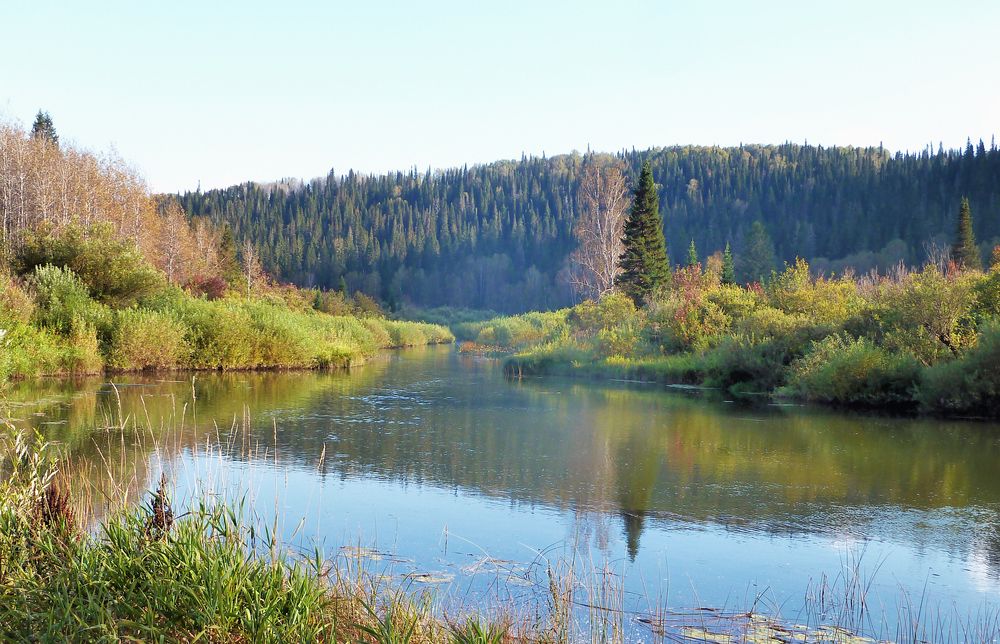 Photo #13355370