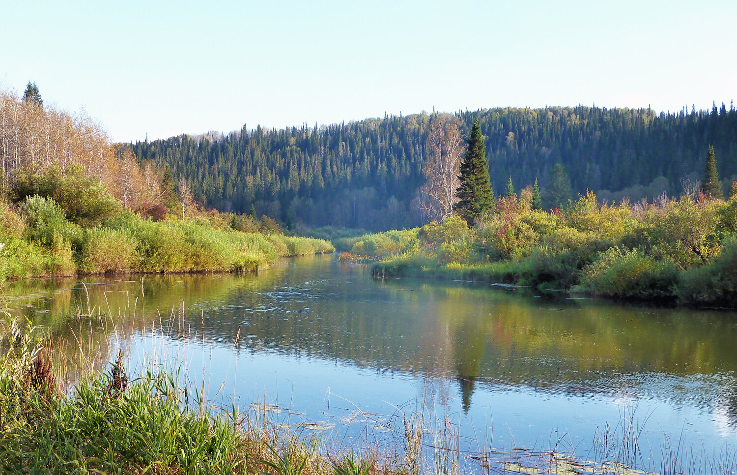 Photo #13355370