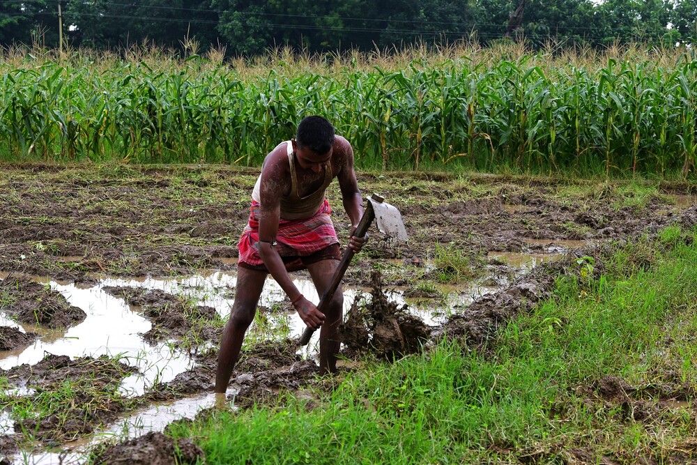 Hands of the Soil
