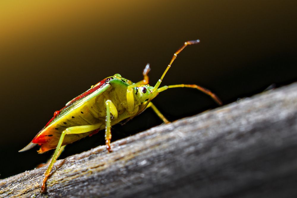 Photograph by Алексей Трубин