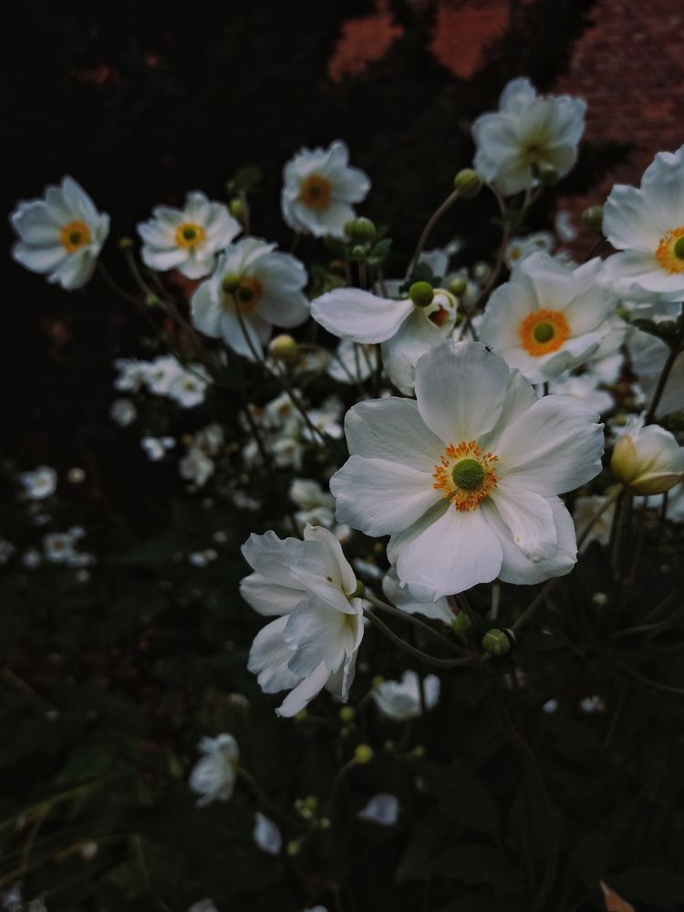 Photograph by Ирина