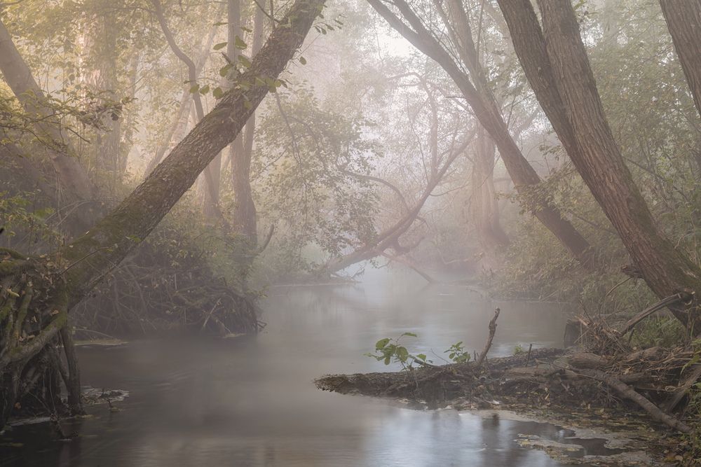 Photograph by Silyavin Nikita