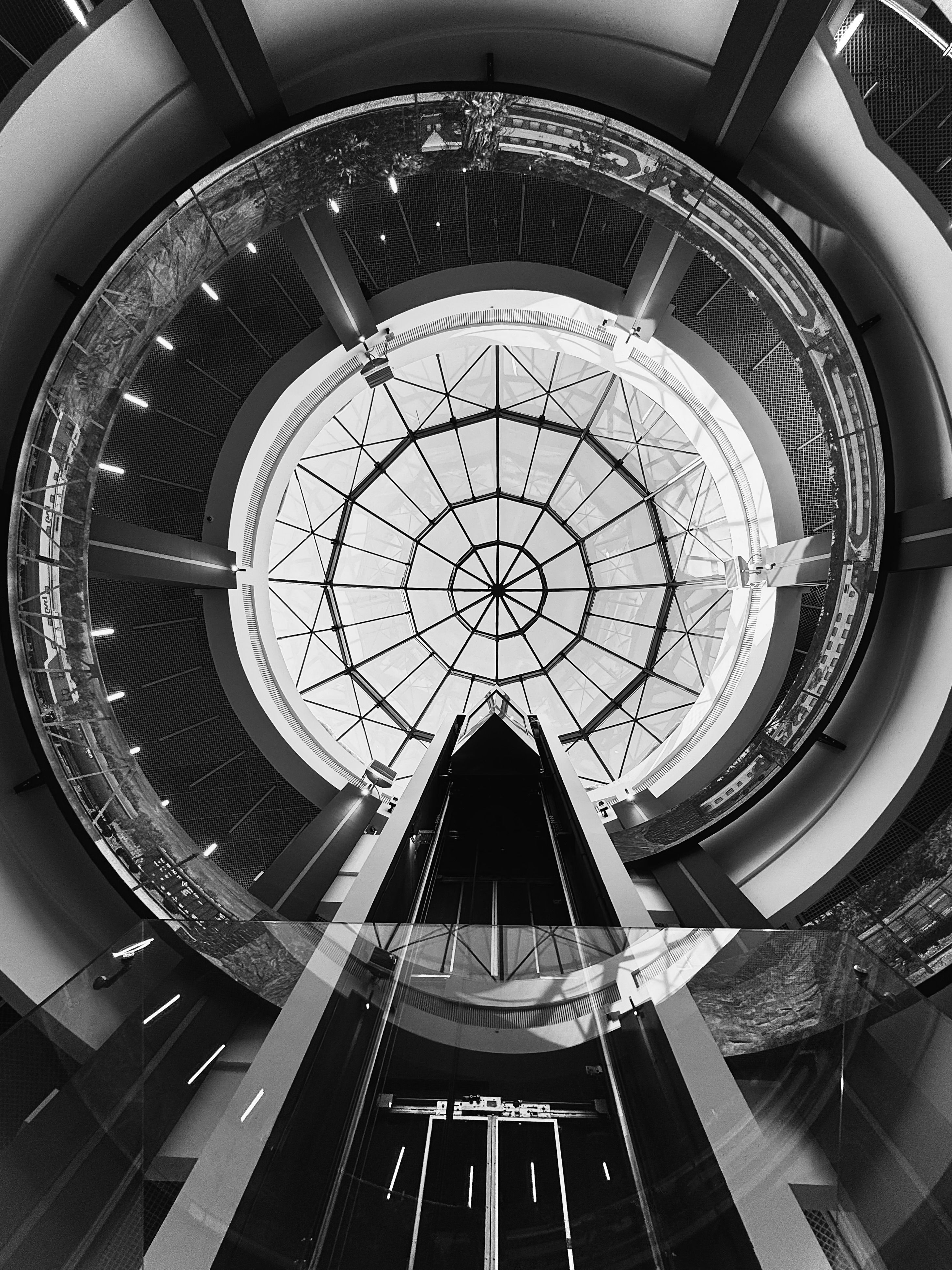 Photograph by Евгения Елисеева