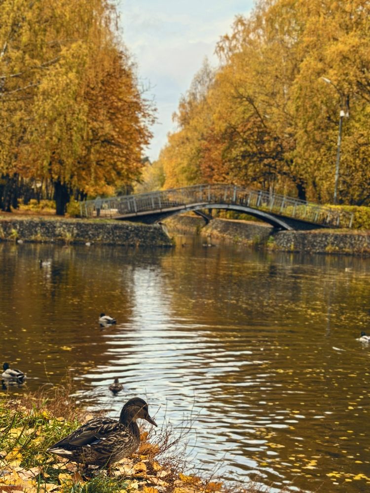 Photograph by Диана Филиппова